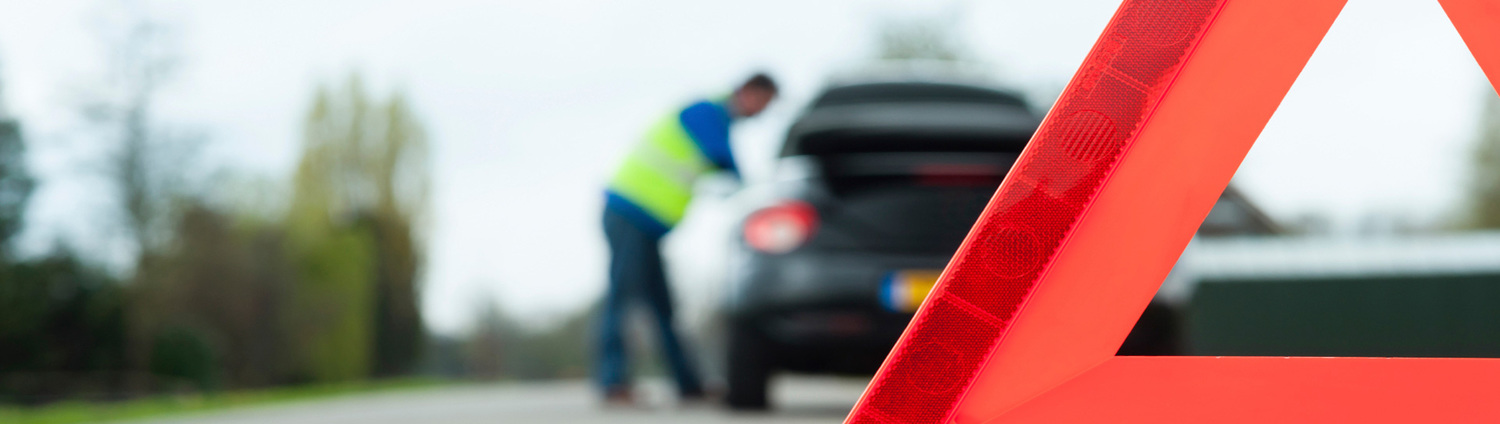 Описание изображения